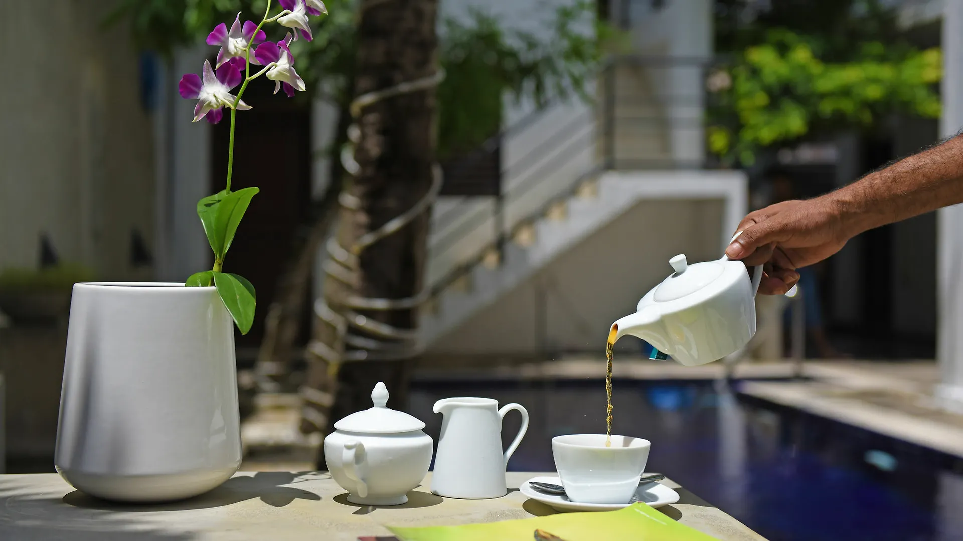 The Villa In Lavinia Dehiwala-Mount Lavinia Guest house